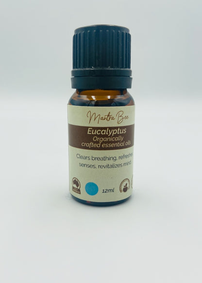 Essential Oil - Eucalyptus