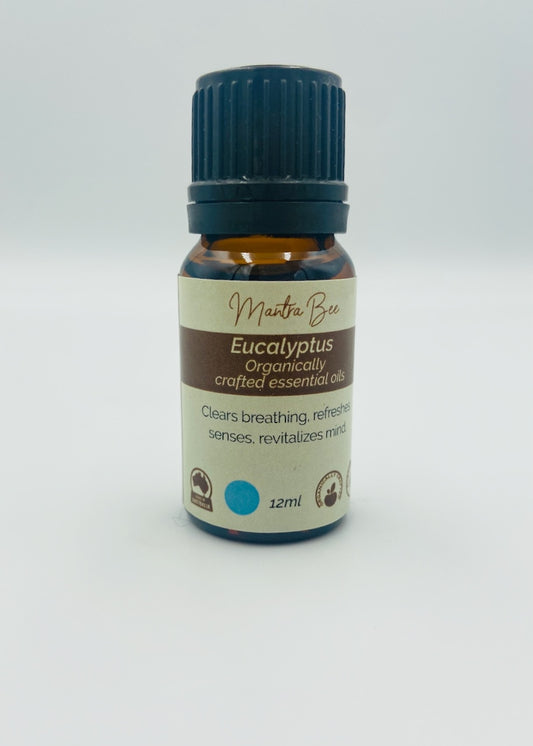 Essential Oil - Eucalyptus