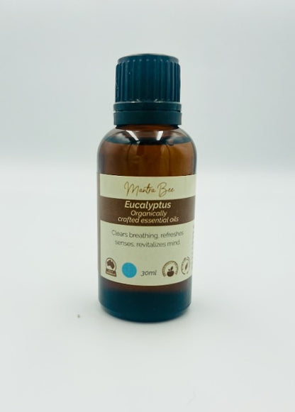 Essential Oil - Eucalyptus